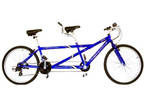 Reflex Timberline Adult Tandem Mountain Bike